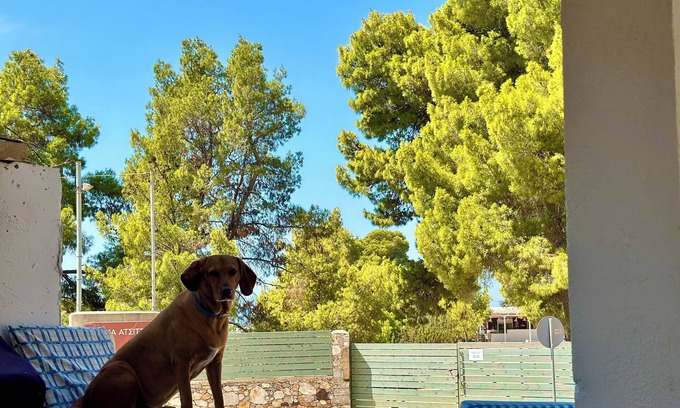 Atsitsa Casa | Charming 1-bedroom house with AC, WiFi in pleasant Atsitsa