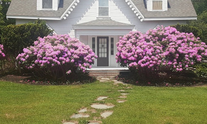 Morris Casa | Charming 1800's Gingerbread Style Home