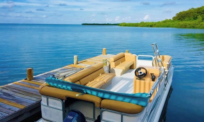 Mud Hole Cabaña | Charming 1BD/1BA Cottage with View of Man O' War Harbor, A/C and WiFi