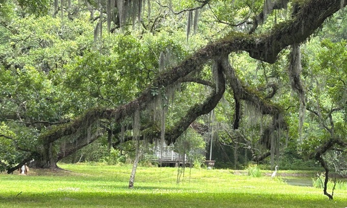 Jeanerette Cabaña | Charming 2-bedroom cottage on the bayou Teche in Jeanerette with AC, WiFi