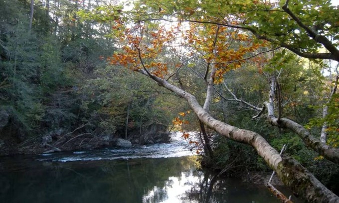 Reliance Cabaña | Charming 2-bedroom cottage right on a 30’ wide whitewater creek in Reliance, TN