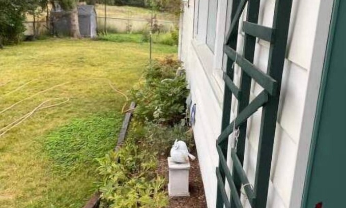 East Kootenay Apartamento | Charming 2 bedroom home.🏔
