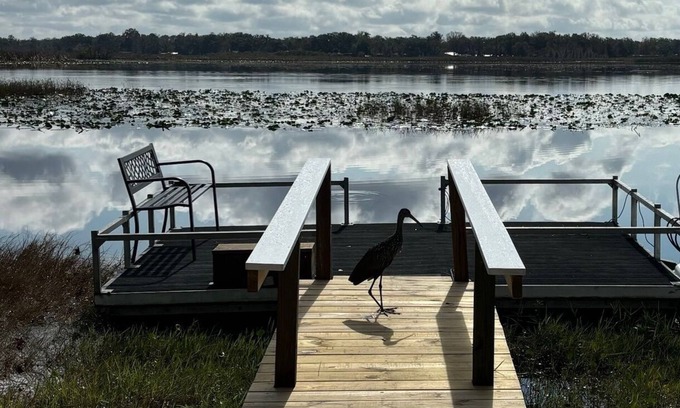 Inverness Cabaña | Charming 2-bedroom renovated Lake Cottage with Cozy Vibes and an Amazing View