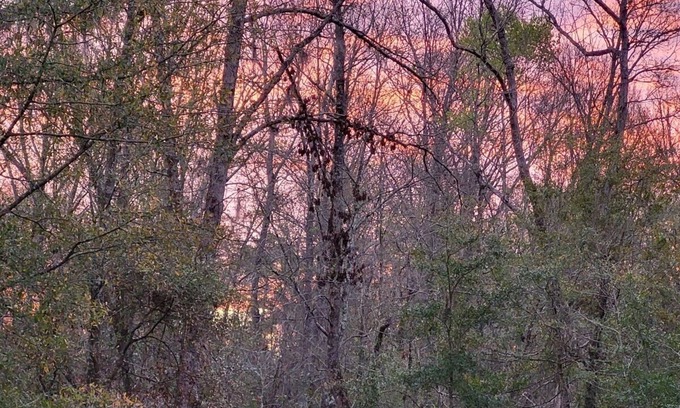 Ruffin Casa | Charming 2-bedroom home on peaceful bluff overlooking the Edisto River.