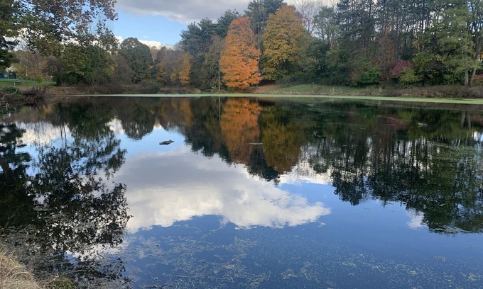 Mount Vernon Casa | Charming 2 bedroom cabin on private pond!