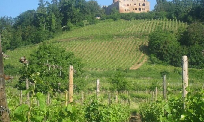Kintzheim Cabaña | CASA CON ENCANTO 3 *** EN ALSACIA EN LA RUTA DEL VINO A KINTZHEIM