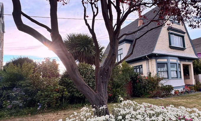 Eureka Casa | Charming and Cozy Room in beautiful Eureka Victorian