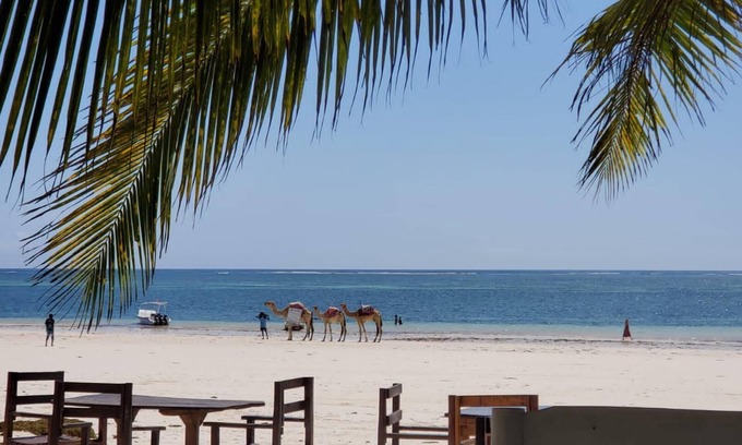 Diani Beach Villa | Charming and Remarkable15-bed Villa in Diani Beach