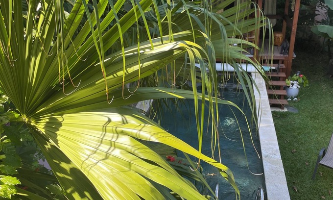 Saint-Paul Casa | Charming bungalow, ideally located for exploring the Orangery trails