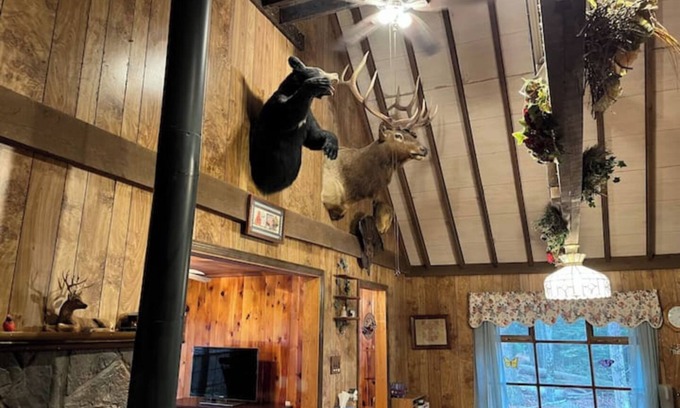 Fairmount Springs Cabina | Charming Cabin in the Woods Close to Ricketts Glen