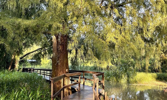 Plaquemine Cabina | Charming cabin on Lower Grand River — Bayou Pigeon, Louisiana