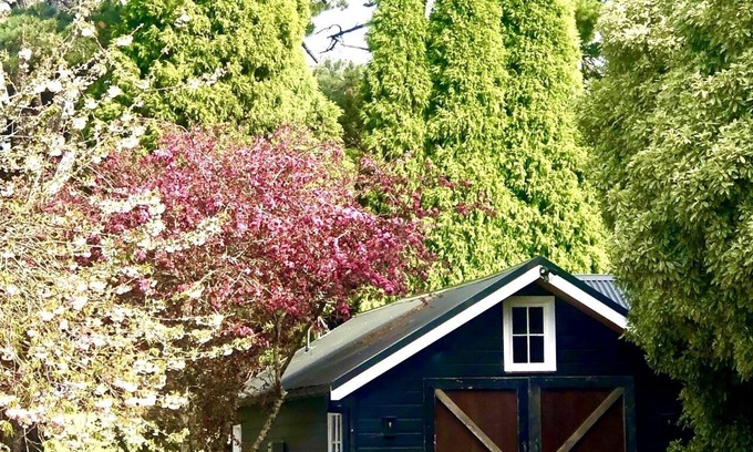 Moss Vale Cabaña | Charming converted country stable located on a 120 acre horse property