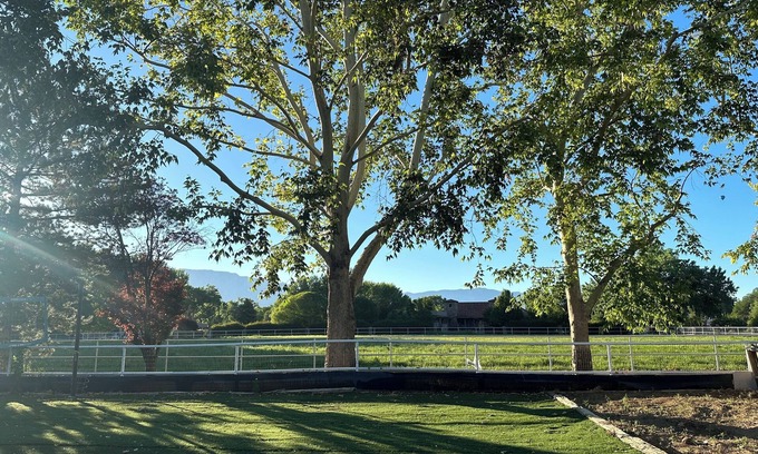 Corrales Casa | Charming Corrales Adobe: Family-friendly, a tranquil and luxurious getaway.