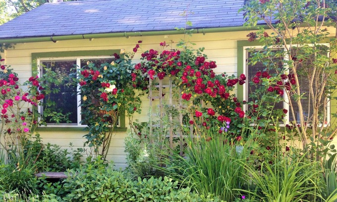 Whiteaker Cabaña | Cottage con Encanto en el barrio histórico