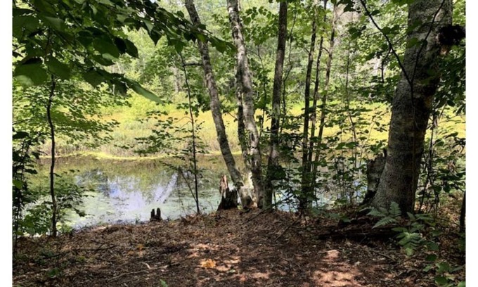 Tomahawk Cabaña | Charming Cottage by Lake Nokomis