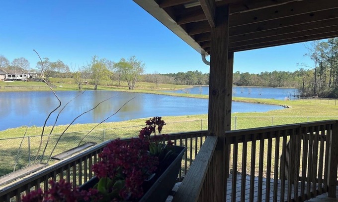 Gulfport Cabaña | Charming Cottage in Gulfport overlooking 2 beautiful ponds WIFI Pet Friendly