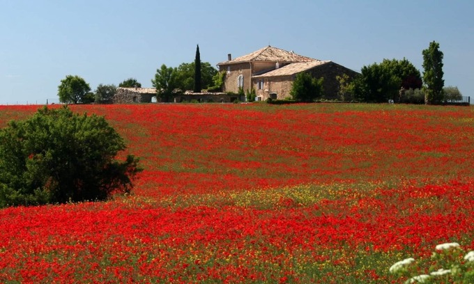 Valensole Otro | Encantadora casa de campo con piscina