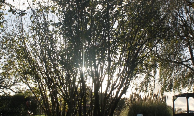 Saint-Martin-de-Gurson Cama Y Desayuno | Le Guinot -Fines de semana en el campo (4p.) - ¡Desayunos / 1 mesa de huéspedes incluida!