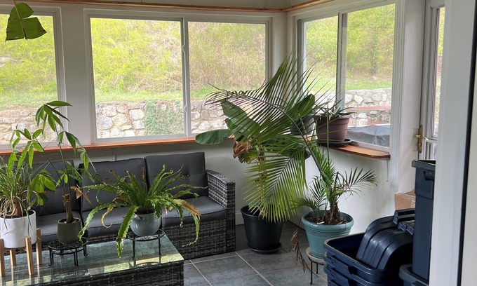 Burnt Chimney Casa | Charming furnished basement with kitchen and full bathroom in adorable Vinton