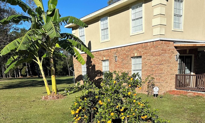 Havana Cabaña | Charming Gated 2-bedroom cottage in Havana with WiFi, AC and Hot Tub.