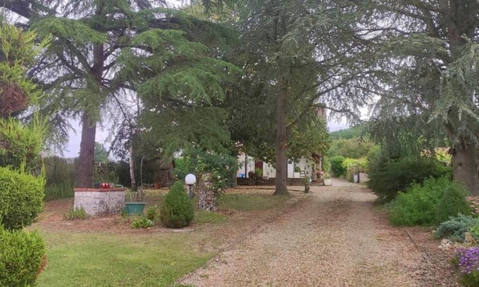 Couffy Casa | Charming gîte at the gates of Beauval zoo park