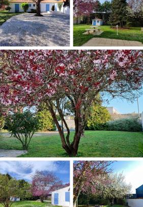 Aytre Casa | Charming house