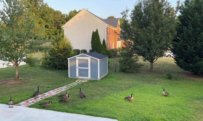 Dale City Casa | Charming house in fabulous Woodbridge with AC, WiFi