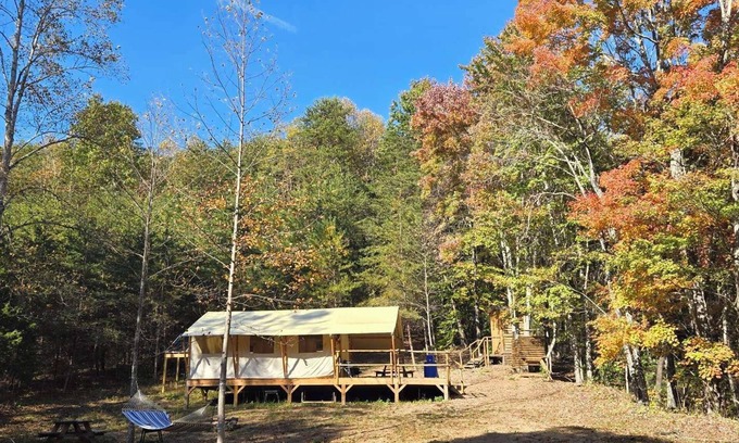 Lenoir Cabina | Charming meadow camp in the forest mountains near fish pond. Events are OK. Pet