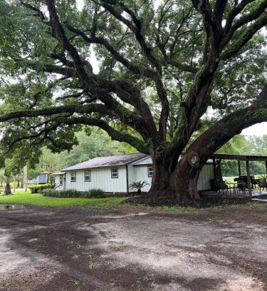 Bon Secour Casa | Charming Oak