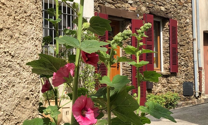 La Garde-Freinet Casa | Encantadora casa de piedra provenzal con terraza en la azotea y fantástica vista lejana