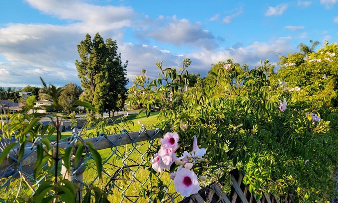 Laguna Hills Casa | Charming Renovated Guest House