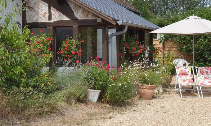 Contres Cabaña | Gîte tout confort à Cheverny : nature, étangs, tennis gratuit, proche châteaux de la Loire