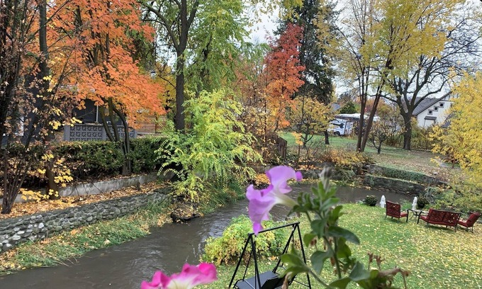 South Central Casa | Charming Room near Lake, Downtown, Hospital and Okanagan Collage
