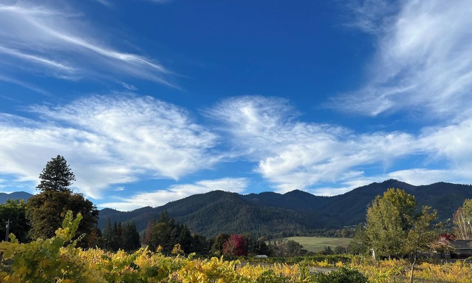 Talent Apartamento | Charming stay at Little Hooves Farm & Vineyard