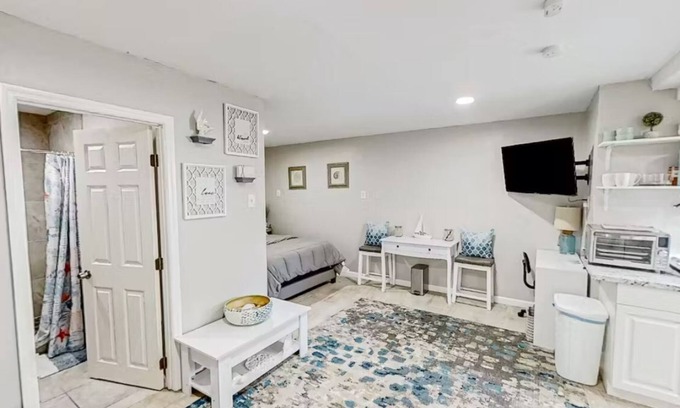 University Apartamento | Charming studio Close to Bush Gardens and USF
