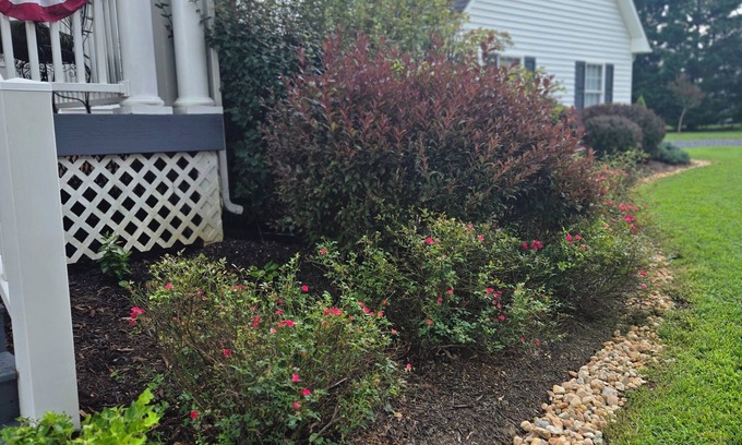 Andersonville Apartamento | Charming studio in welcoming Dillwyn, near Farmville