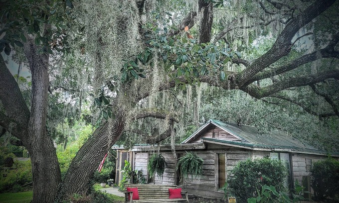 Murrells Inlet Cabina | Charming Unique Cabin The LiTTLe House in the Inlet!