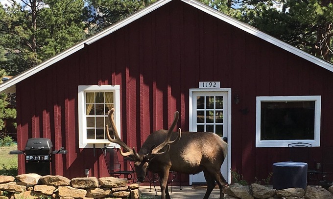 Estes Park Cabina | Casa Colibrí. Encantadora cabaña rústica actualizada. Cerca de la ciudad y RMNP! WIFI