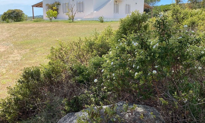 Santa Teresa di Gallura Villa | Encantadora villa ubicada frente al archipiélago de la Maddalena