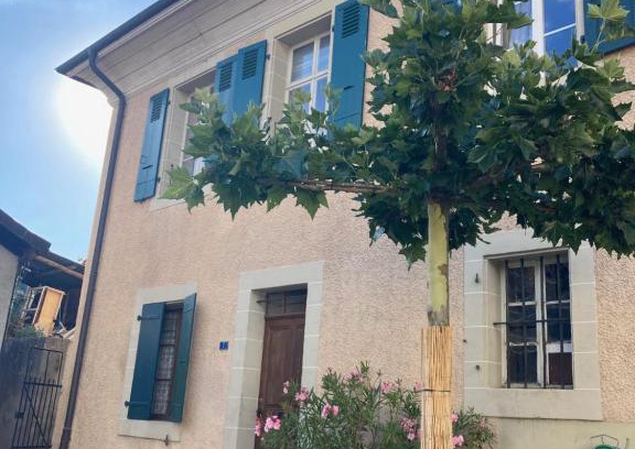 Mont-sur-Rolle Casa | Charming Vinyard House - Lake Geneva