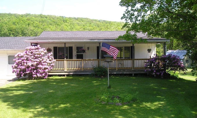 Wellsboro Cabina | Charming Wellsboro Cabin w/Magnificent Views/AC/WiFi /5 mins to Center of Town
