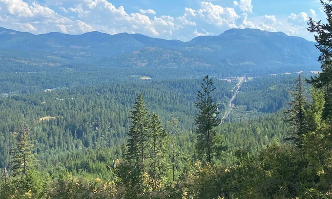 Boundary County Cabina | Charming yurt nestled in a private forest!