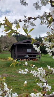 Vrhavec Chalet De Esquí | Chata na samotě, Šumava