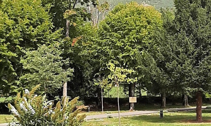 Montbrun-les-Bains Otro | Château des Gipieres, next to the Montbun thermal baths and wellness center.