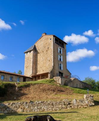 Montegut Cama Y Desayuno | Chateau Montegut Logis Rustique des Pyrénées