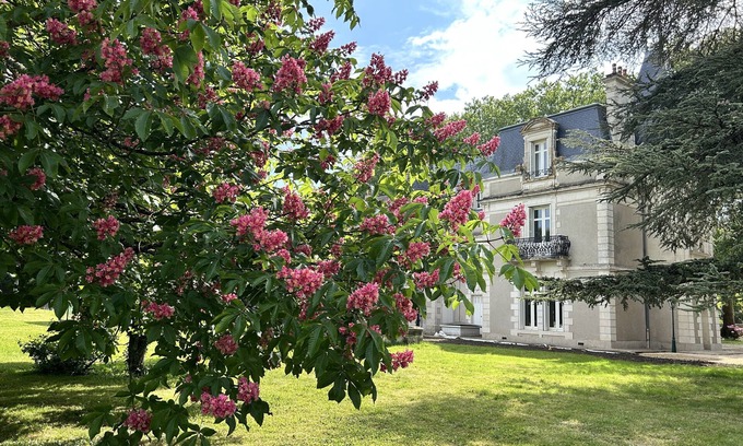 Bouresse Otro | Castillo con piscina climatizada, sauna cerca de Poitiers y los viñedos de Chinon
