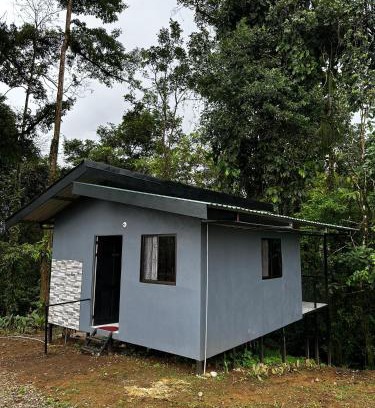 Katira Otro | Chava Lodge On Tenorio Rio Celeste