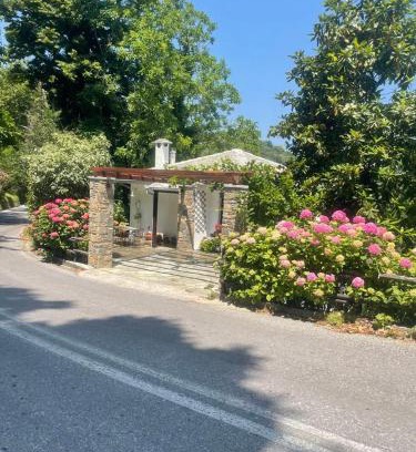Tsagarada Casa | Chestnuts