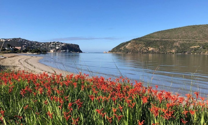 Knysna Cama Y Desayuno | Chez Pierre