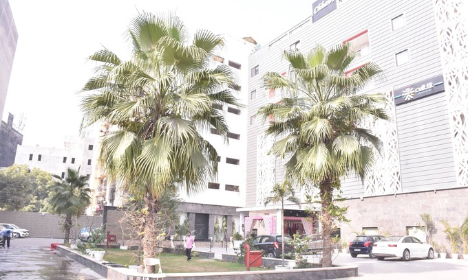 Noida Hotel | Chhavi Hotels